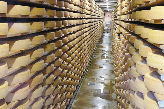 奶酪贮藏室