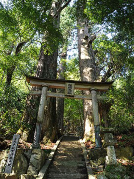 Tsugizakura-oji神社