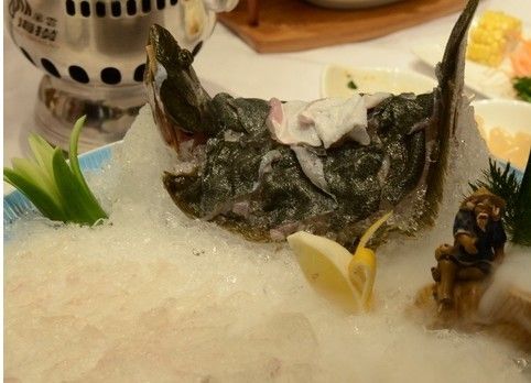 吃小火锅点鲷鱼