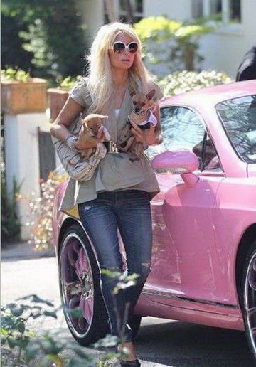 Paris Hilton带宠物狗出街