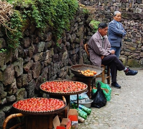 街巷到处是卖柿子