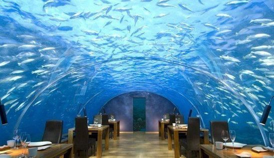 马尔代夫，海底餐厅(Ithaa Undersea Restaurant)