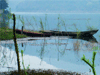 慈溪上林湖