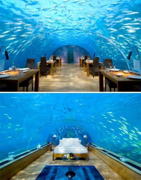 马尔代夫的海底餐厅